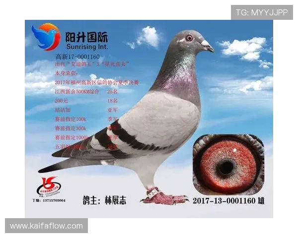 AG国际线上登陆如何确保账户安全,专家为你提供全面建议 AG国际线上登陆如何确保账户安全,专家为你提供全面建议